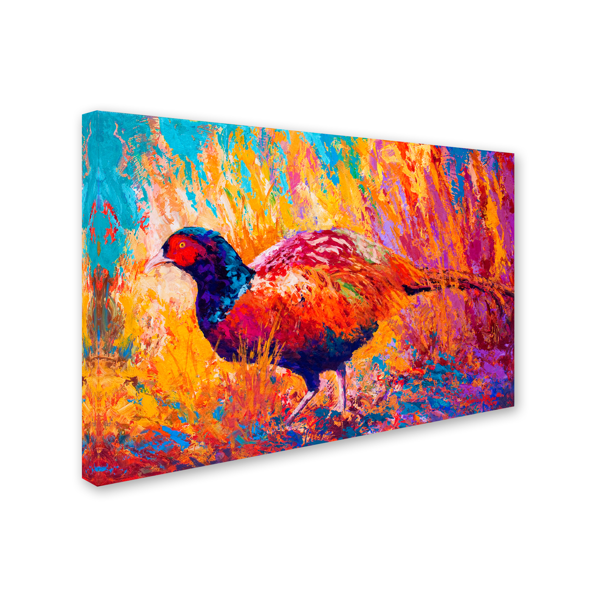 Marion Rose 'Pheasant' Canvas Art