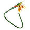 thumbnail image 2 of Artificial Flower Bird of Paradise Strelitzia Faux Plastic Flower Home Decor, 2 of 8