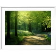 thumbnail image 2 of Art.com Track Leading Through Lanhydrock Beech Woodland with Bluebells in Spring, Cornwall, UK Photographic Print by Ross Hoddinott, White Frame Wall Art, 29" x 23", 2 of 5