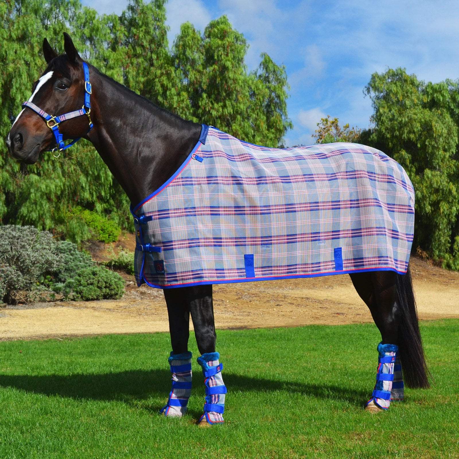 horse fly sheets closeout equestrian compare prices at nextag horse fly sheets closeout