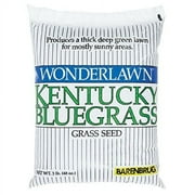 Barenbrug USA 50203 Bluegrass Grass Seed