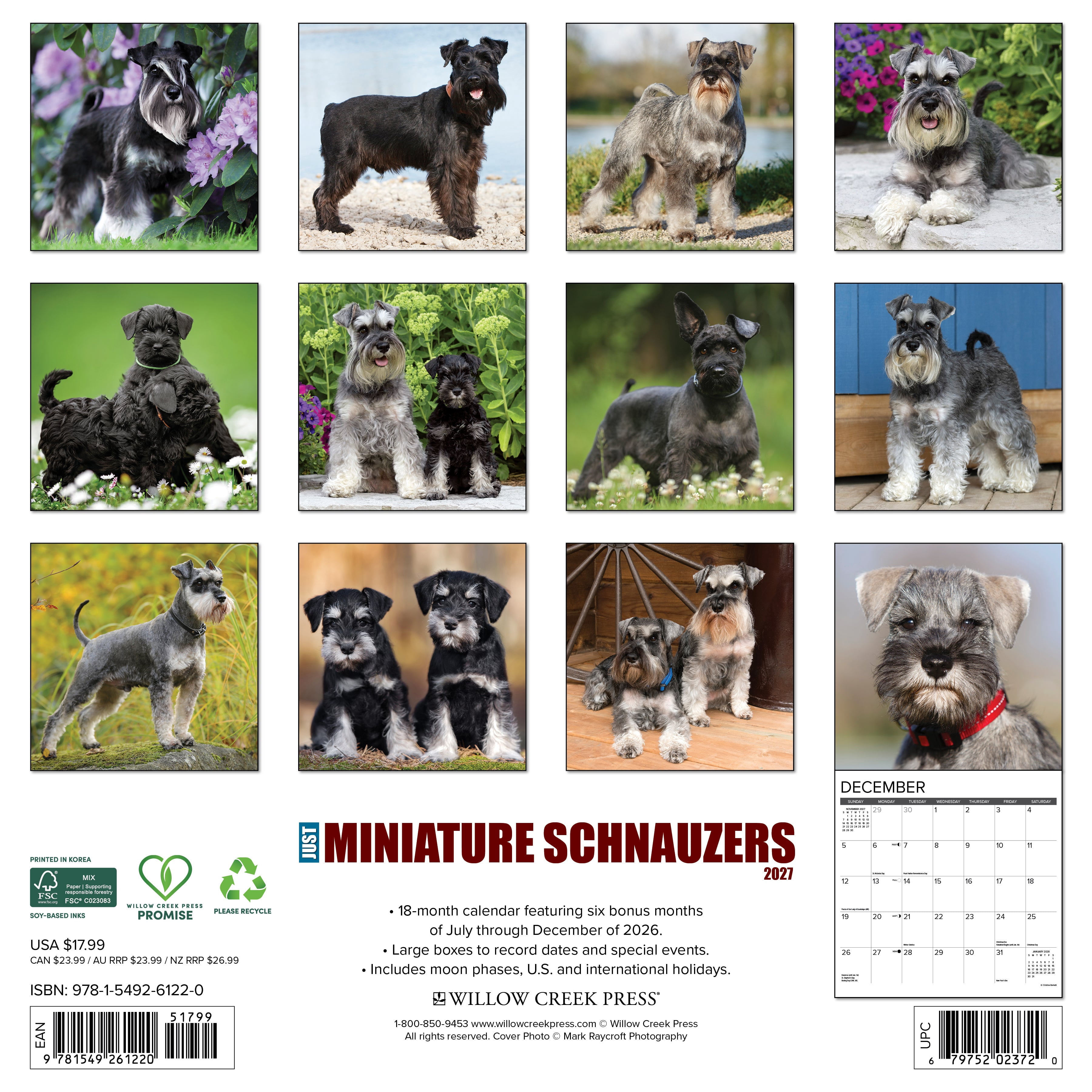 Willow Creek Press, Miniature Schnauzers 2027 Wall Calendar