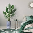thumbnail image 5 of Artificial Tree in Modern Pattern Planter, Fake Bird of Paradise Silk Tree for Indoor and Outdoor Home Decoration - 67" Overall Tall (Plant Pot Plus Tree), 5 of 5