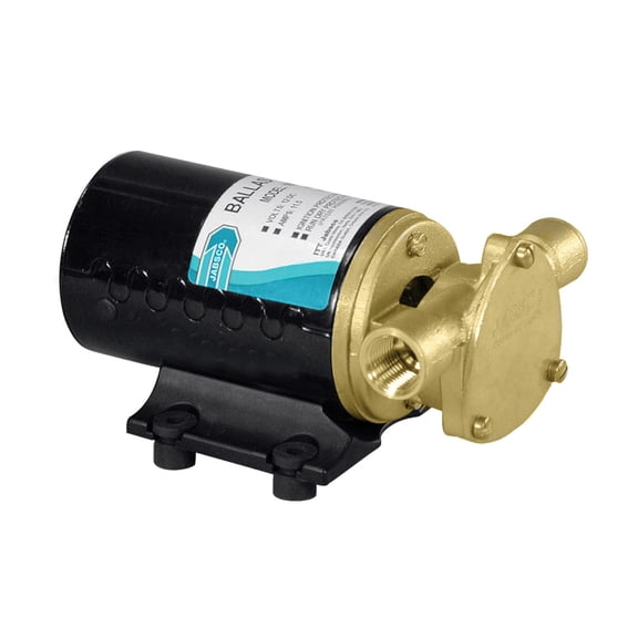 Jabsco Wakeboard Ballast Puppy With Reversing Switch - 12V