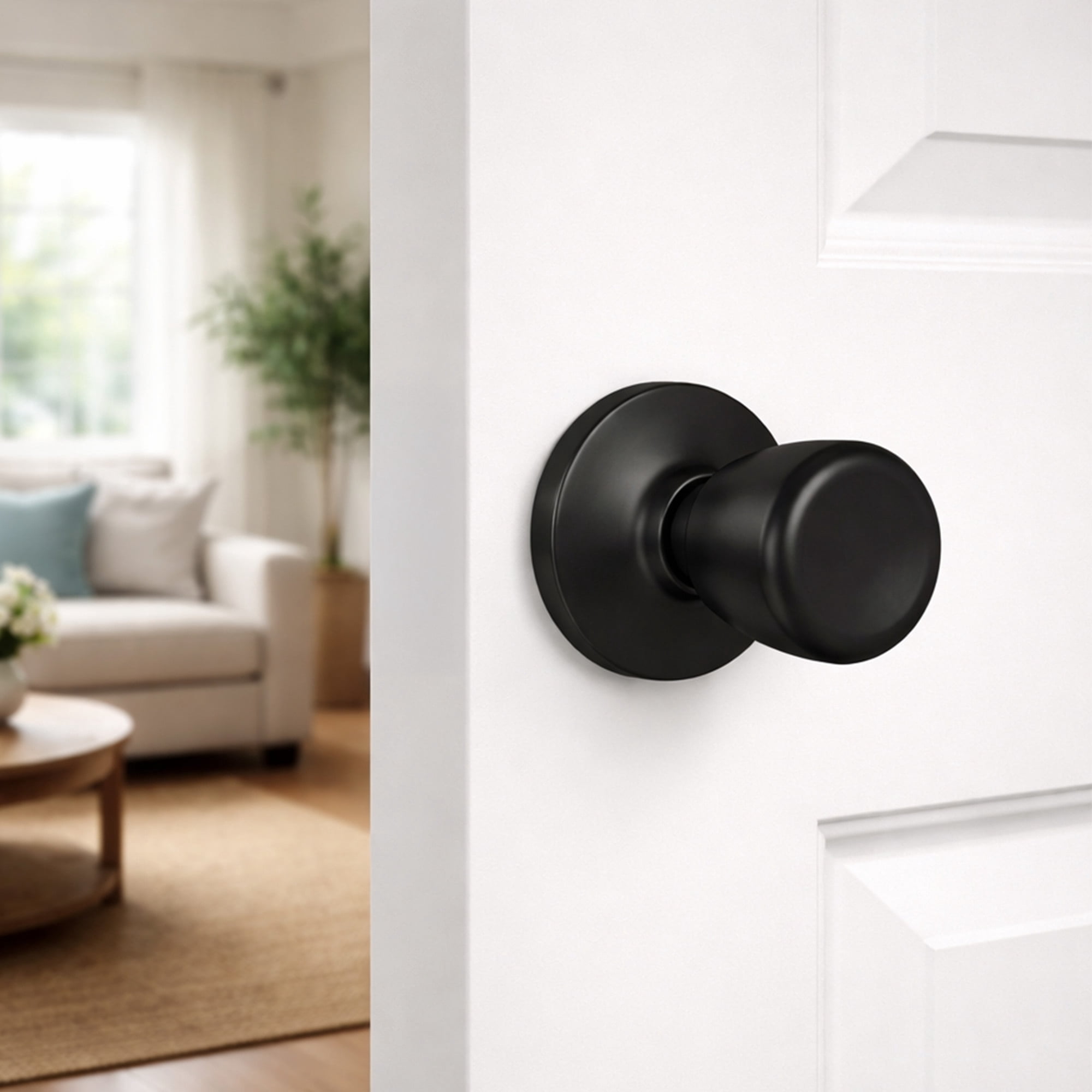 Terrace Matte Black Dummy Door Knob