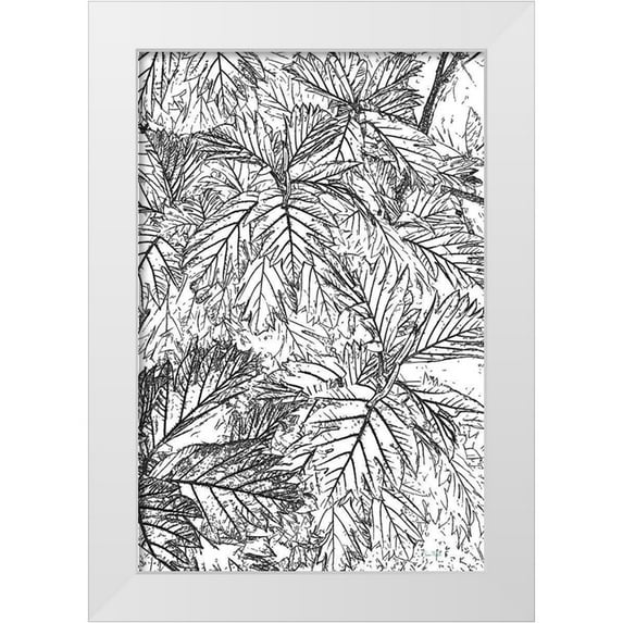 Murdock, Ramona 13x18 White Modern Wood Framed Museum Art Print Titled - Botanical BW I