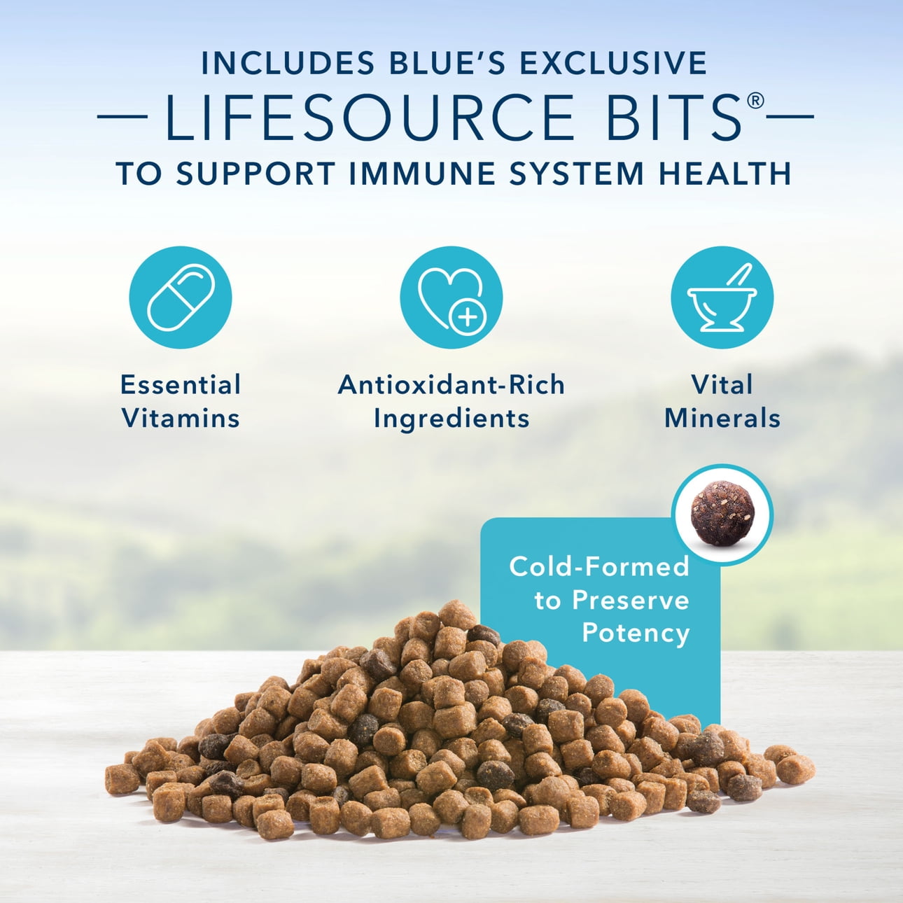 walmart blue buffalo cat food