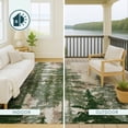 thumbnail image 4 of Addison Rugs Chantille Indoor/Outdoor Transitional Lodge Basil Machine Washable Rectangle Rug, 10' x 14', 4 of 8