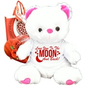 Love You To The Moon And Back! Valentines Day Chocolates Teddy Bear Gift Bag