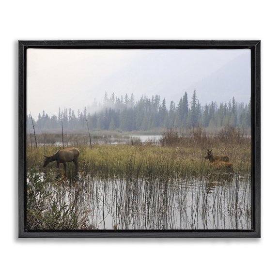 Stupell Industries Coastal Animals Grazing Creek Landscape Black Floating Frame Canvas Art, 31 x 25, by Carol Robinson