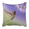 thumbnail image 1 of RYLABLUE Hummingbird in flight with purple flower Pillowcase Throw Pillow Cover Case 20x20 inches, 1 of 2