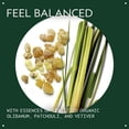 thumbnail image 3 of Pure-Fume Mist Aveda Chakra 1 Balancing Grounded, 100 ml, 3 of 5