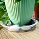 thumbnail image 5 of Paquete de 4 Platillos Transparentes para Plantas, Platillos de Plástico para Plantas de 10 Pulgadas, Bandeja para Plantas Más Gruesa, Maceta para Jardín Interior y Exterior, 5 of 5