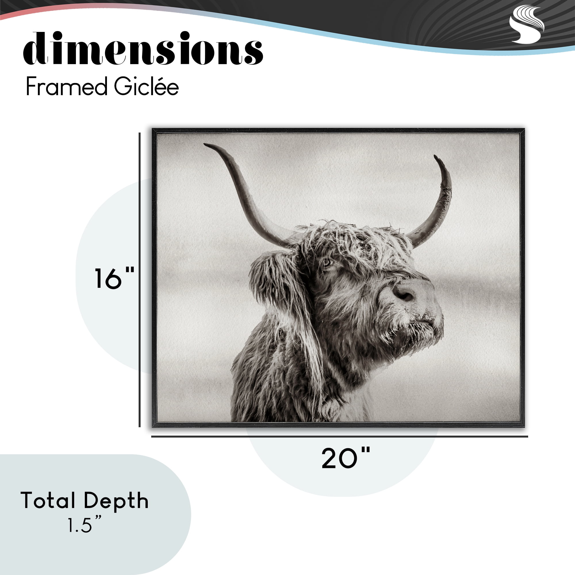Stupell Industries Horned Highland Cow Gazing Black Framed Giclee Art, design by Julia Frost