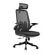 thumbnail image 1 of Silla de Escritorio Giratoria, Silla de Malla Ergonómica, Silla de Computadora, Silla con Respaldo, Silla de Juego, Cojín Grueso P Respaldo alto negro BLESIY Sillas de oficina, 1 of 8