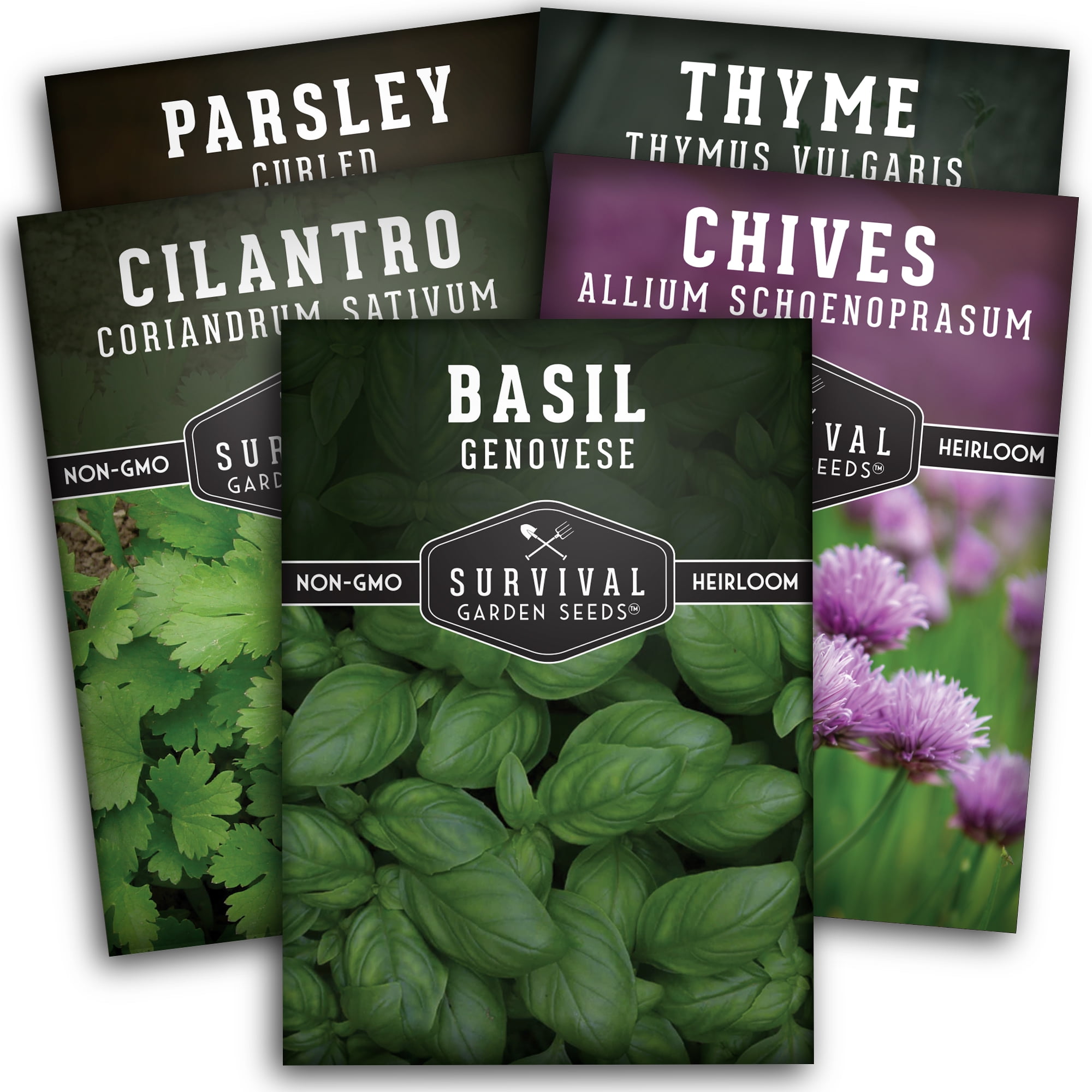 Survival Garden Seeds 5 Culinary Herb Packs - Curly Parsley, Cilantro, Basil, Chives, Thyme - Non-GMO Heirloom - Full Sun