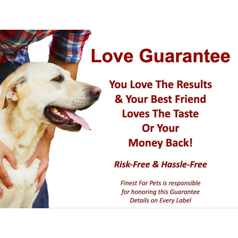 Best joint supplement 2025 for golden retrievers