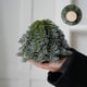 thumbnail image 1 of Uuowzo Hand Christmas Tree Christmas Decorations Ornament Mood Scene Decoration Indoor Outdoor Christmas Decorations, A, 1 of 6