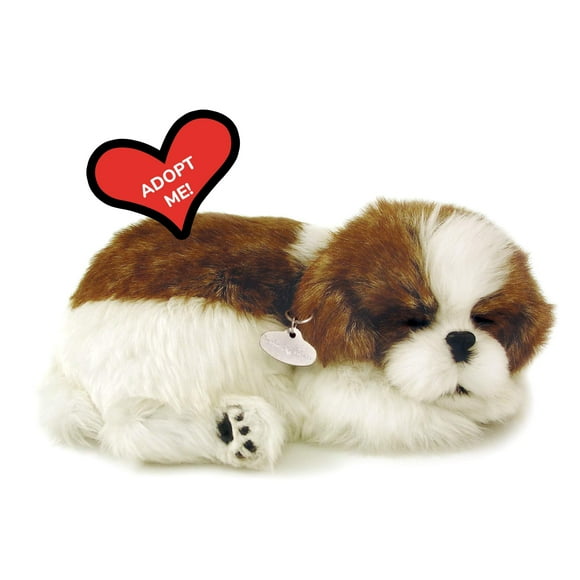 Plenty Gifts - Perfect Petzzz | Peluche Réaliste - Shih Tzu| Avec Boîte de Transport et Lit | Piles Incluses