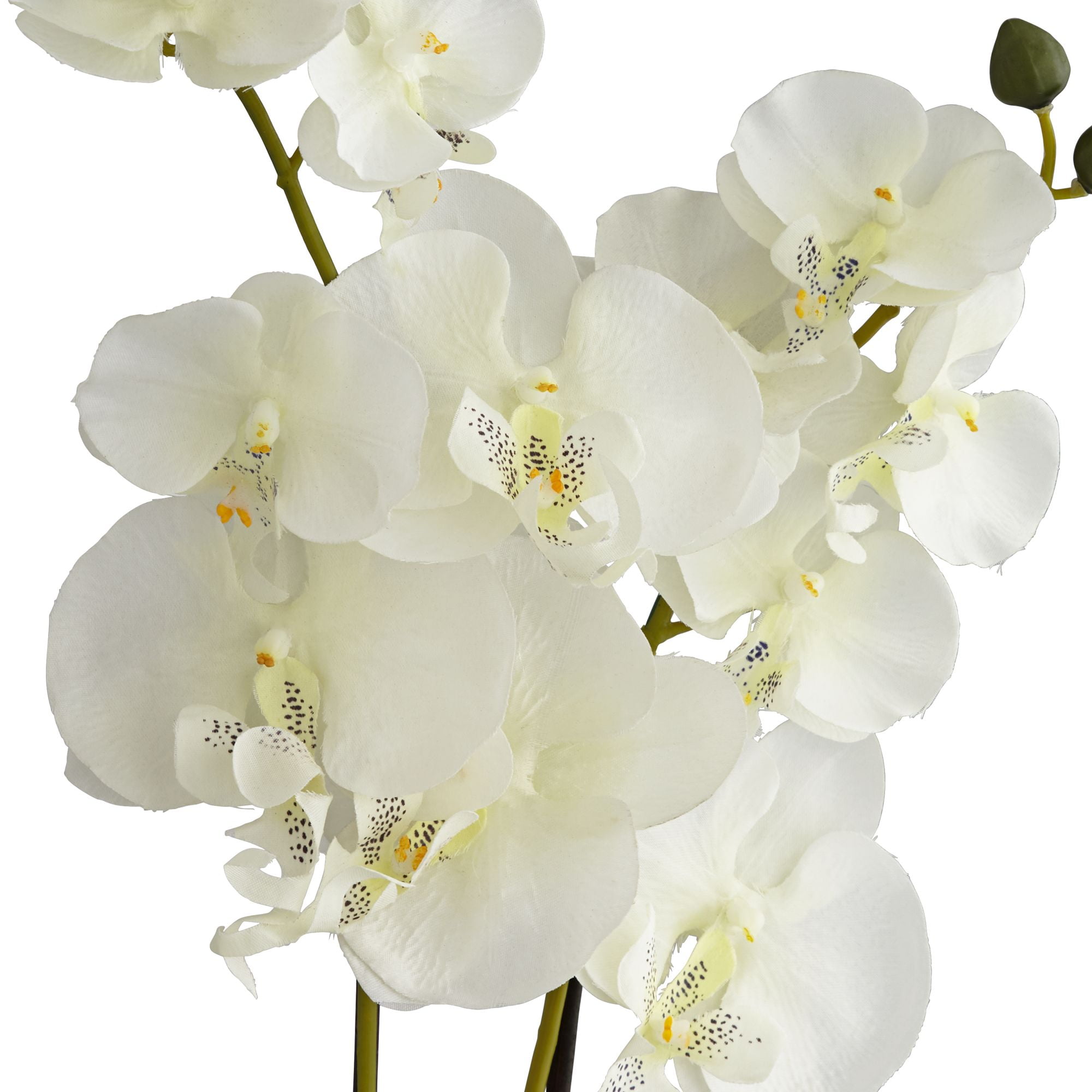 Dahlia Studios White Phalaenopsis 23 H Faux Orchid in Gold Ceramic Pot 