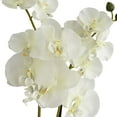 thumbnail image 3 of Dahlia Studios Potted Faux Artificial Flowers Realistic White Orchid Greenery in Gold Ceramic Pot for Home Decoration 22" High, 3 of 8