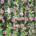 thumbnail image 7 of Artificial Pink Rose Vines Plants,7.6Ft Silk Rose Garland,Hanging Ivy Garland,Fake Flowers Vine,for Valentine's Day Mother's Day Party Decoration,Wedding Garden Arch Arrangement By Scheam, 7 of 7