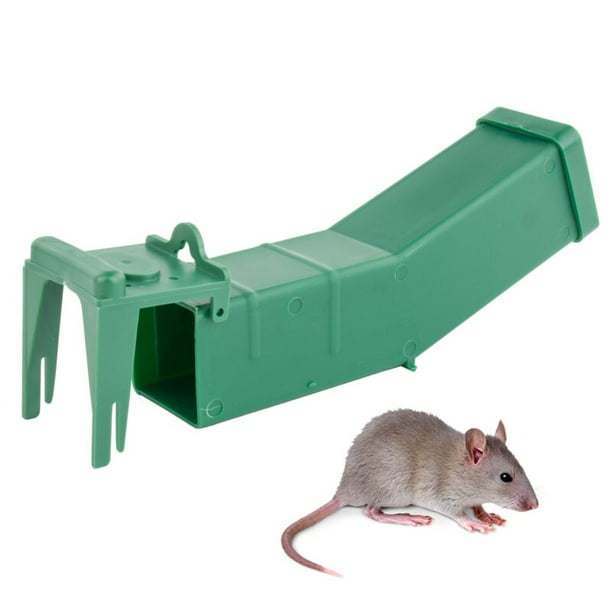 Humane Catch Release Mouse Trap Walmart