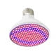 thumbnail image 5 of Plant Grow Light Red Blue Spectrum Invernadero interior Planta hidropónica Planta de semillero Bombilla creciente 200 LED E27 Sweethay HA3439-00B, 5 of 6