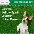 thumbnail image 2 of Chew + Heal Grass Saver For Dogs Urine, 120 Soft Chews - Keeps Lawn Green - Reduces Stool Odor, 2 of 7