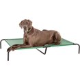 Cooling Elevated Dog Bed in Green Perfect for Great Danes and Large