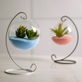 thumbnail image 4 of Hanging Ball Glass Flower Planter Vase Terrarium Container Landscape Bottle, 4 of 5