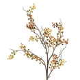 thumbnail image 2 of My Texas House Fall Faux Coriaria Stem, Multicolor, 30", 2 of 5