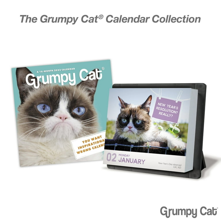 2023 Year In A Box Calendar, Grumpy Cat, 4 3/8" x 5" by Mead (WMB24700-23)  - Walmart.com