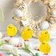 thumbnail image 3 of BRIGHTFUFU 36 Uds. Pollitos de Pascua, pollitos de Pascua, minipollitos, pollitos, decoraciones para pollitos de Pascua, 3 of 7