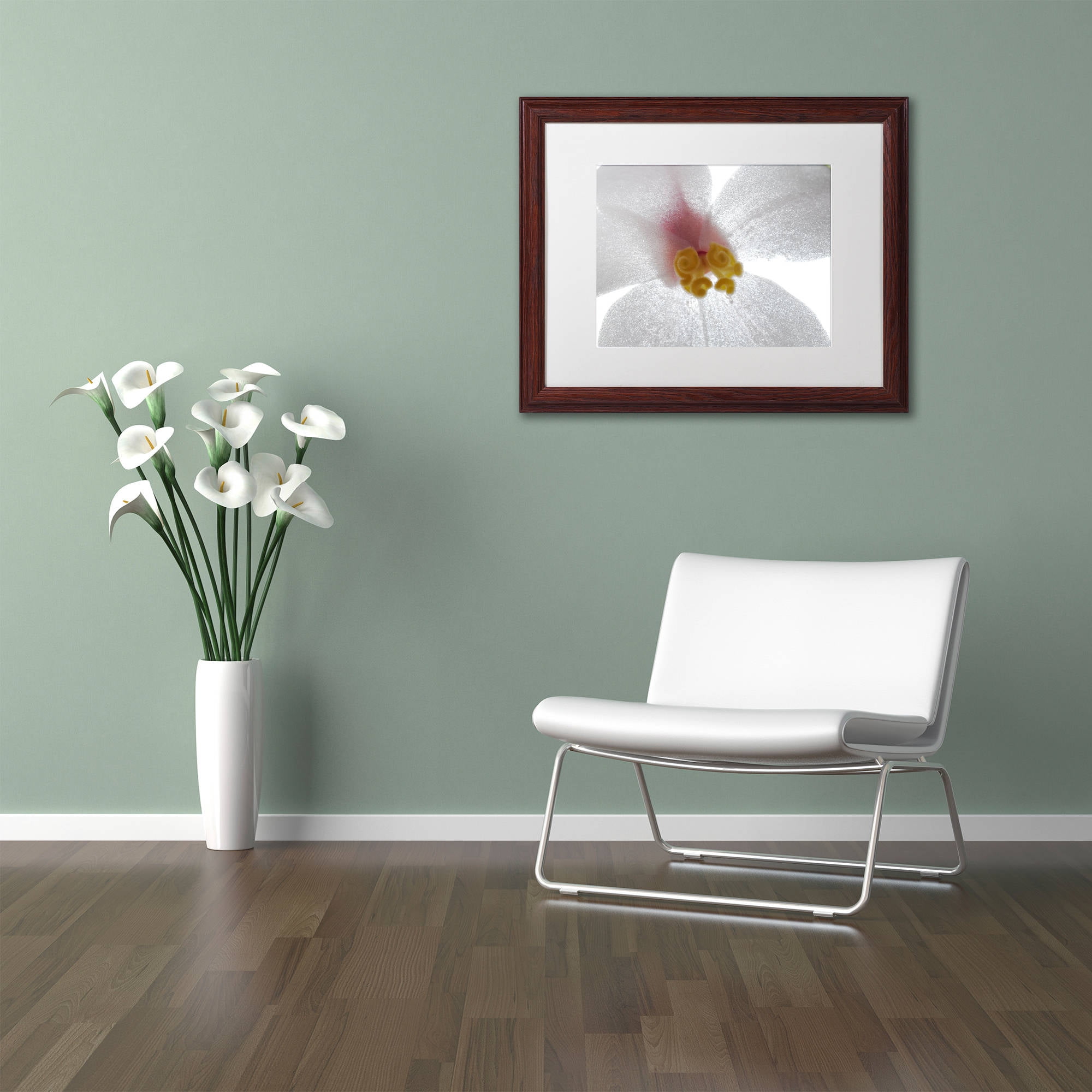 Trademark Fine Art "Escargo Begonia Flower" Canvas Art by Kurt Shaffer, White Matte, Wood Frame