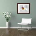 thumbnail image 3 of Trademark Fine Art "Escargo Begonia Flower" Canvas Art by Kurt Shaffer, White Matte, Wood Frame, 3 of 4