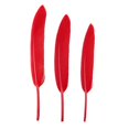 thumbnail image 3 of Couteau Droit Petit en Plumes 50 Pcs Plumes Colorées Maternelle Bricolage, 3 of 8