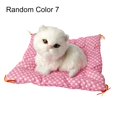 thumbnail image 1 of PENGXIANG Simulation Mini Chat Haute Simulation Respirante Anniversaire Cadeaux Chiffon Coussin Peluche Chats pour Enfants, 1 of 8