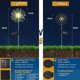 thumbnail image 3 of Luces solares para jardín exterior, 2 unidades, 120 LED, fuegos artificiales solares, 8 modos, impermeables, para jardín, césped, patio, decoración navideña - War, 3 of 5