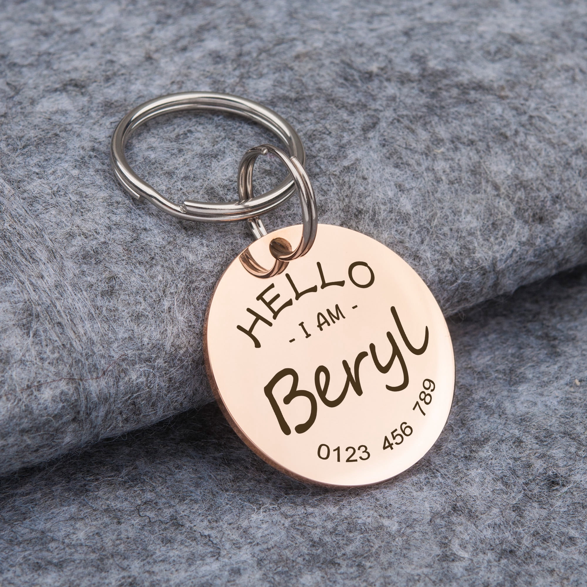 Anavia Metal Stainless Steel Round Name - Phone Number Birthday Holiday Christmas Engraved Dog Cat ID Tag, Silver