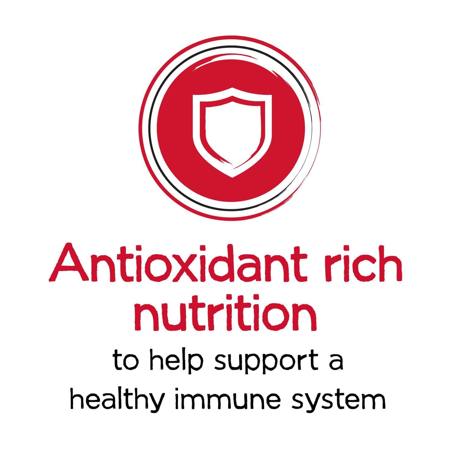 Beneful Originals with Real Beef, Dry Dog Food