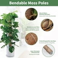 thumbnail image 3 of KANCOKIT 4 Pack Moss Pole, 28 Inch Bendable Moss Poles for Plants Monstera for Indoor Climbing Plants, Handmade Coco Coir Pole Plant Sticks Support Stakes, 3 of 9