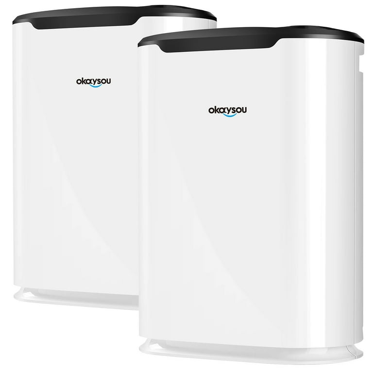 Okaysou AirMax8L Medical Grade H13 True HEPA Air Purifier with