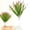 D, variant on 4Th of July Artificial Soft Rubber Greenery, Realistic Round Leaf Fake Plant, Long-Lasting Greenery for Home, Garden, Balcony and Patriotic Wedding Decoration