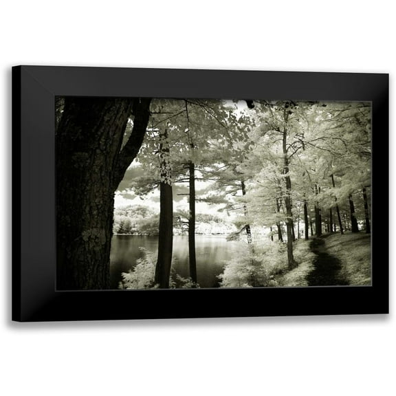 Hausenflock, Alan 14x11 Black Modern Framed Museum Art Print Titled - Along the Lakeshore II