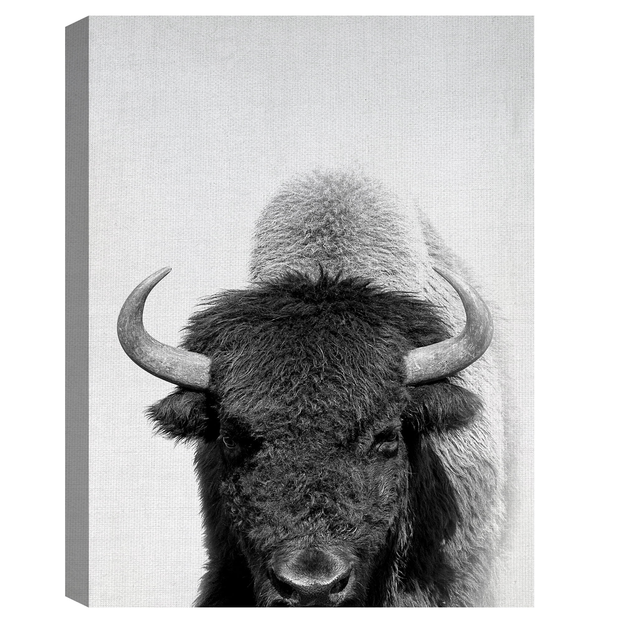 Masterpiece Art Gallery Roaming Wild Bison By Belle Maison Canvas Art Print 30" x 40"