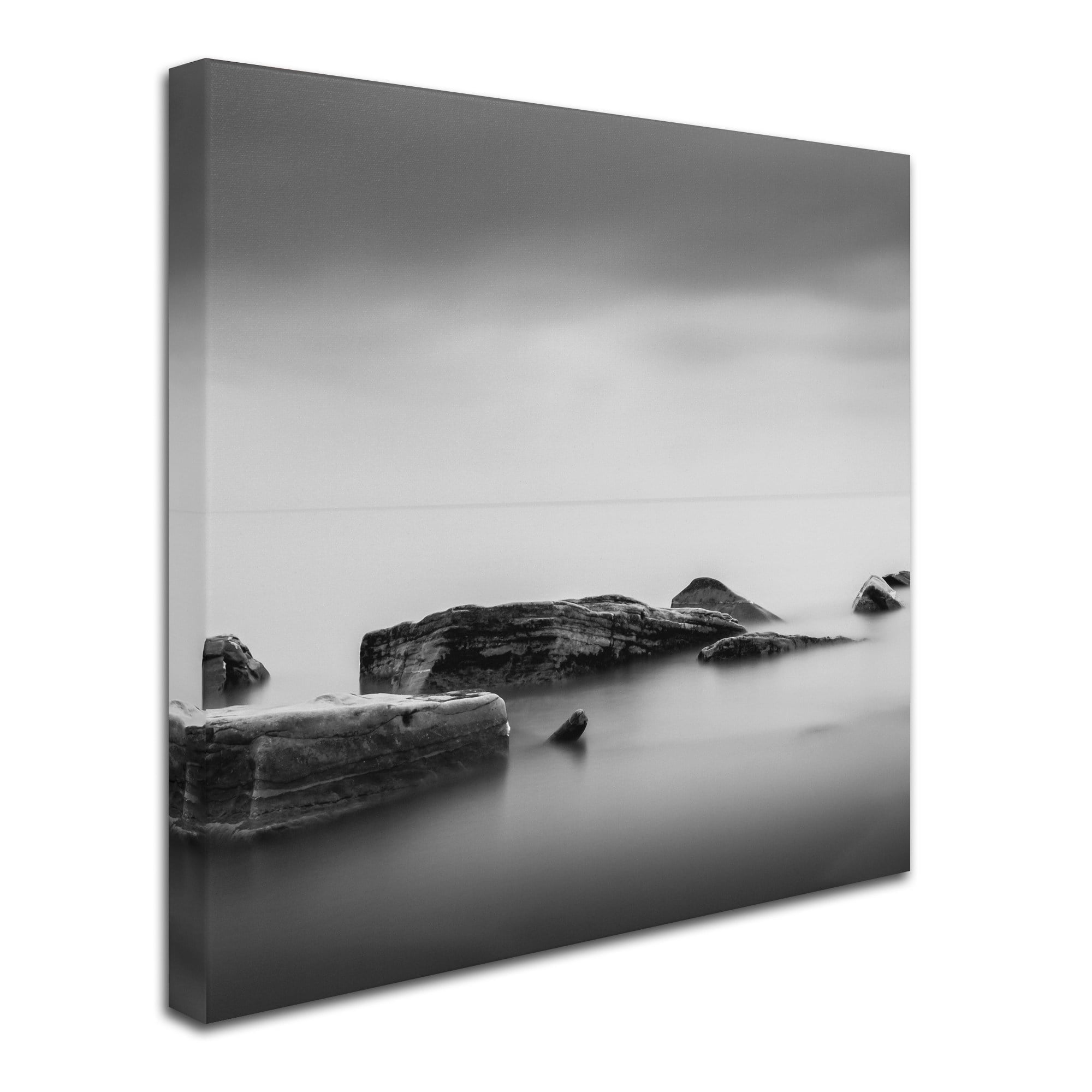 Trademark Fine Art Dave MacVicar 'Calm' 18 x 18 (ALI0824-C1818GG)