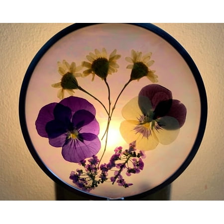 

Real Pressed Flower Nightlight - Free Shipping - Made in USA