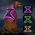 thumbnail image 1 of Arnés LED para perros Vizbrite Light Up, recargable, para perros, 1 of 6