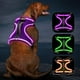thumbnail image 1 of Arnés LED para perros Vizbrite Light Up, recargable, para perros, 1 of 6